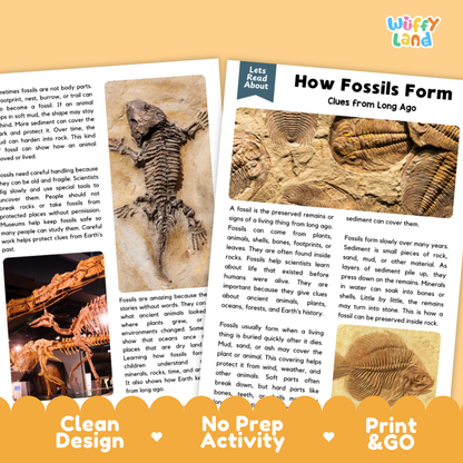 Teacher answer key page showing complete question solutions for how fossils form reading comprehension practice
