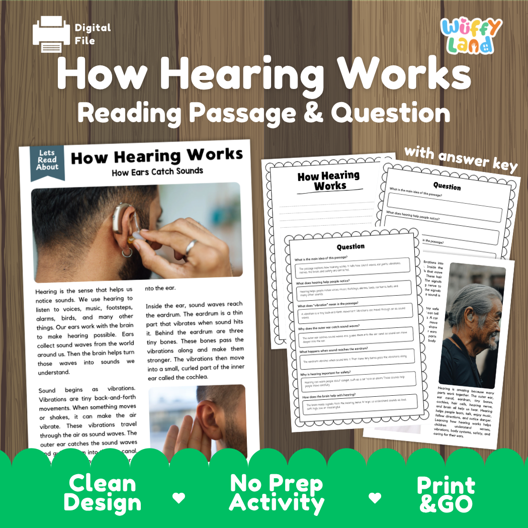 How Hearing Works reading comprehension passage and questions activity pack with full answer key for students