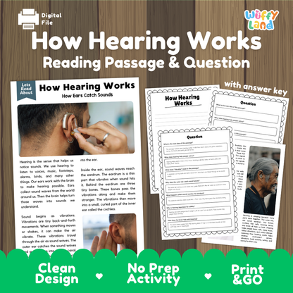 How Hearing Works reading comprehension passage and questions activity pack with full answer key for students