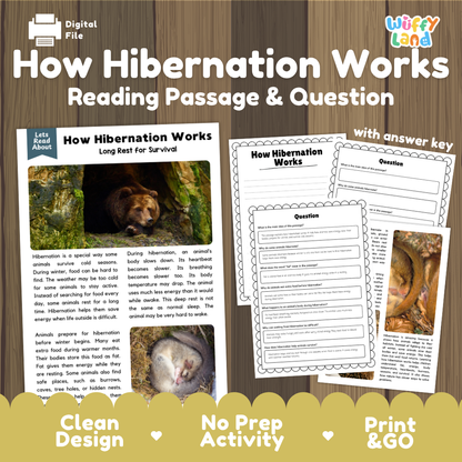 How hibernation works reading comprehension passage and questions printable activity pack with answer key for elementary students