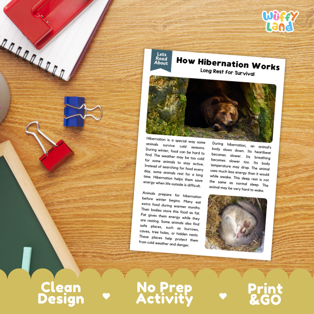 Student reading comprehension worksheet with short-answer questions and lined sections about how hibernation works