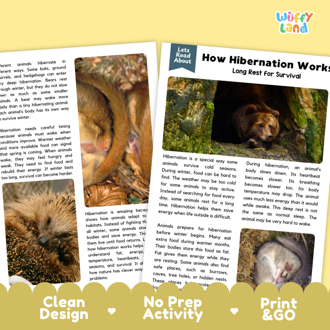 Teacher answer key page showing complete question solutions for How Hibernation Works life science reading comprehension practice