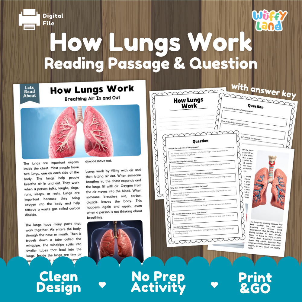 How lungs work reading comprehension passage and questions printable activity pack with answer key for elementary students