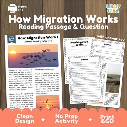 How Migration Works reading comprehension passage and questions activity pack with full answer key for students