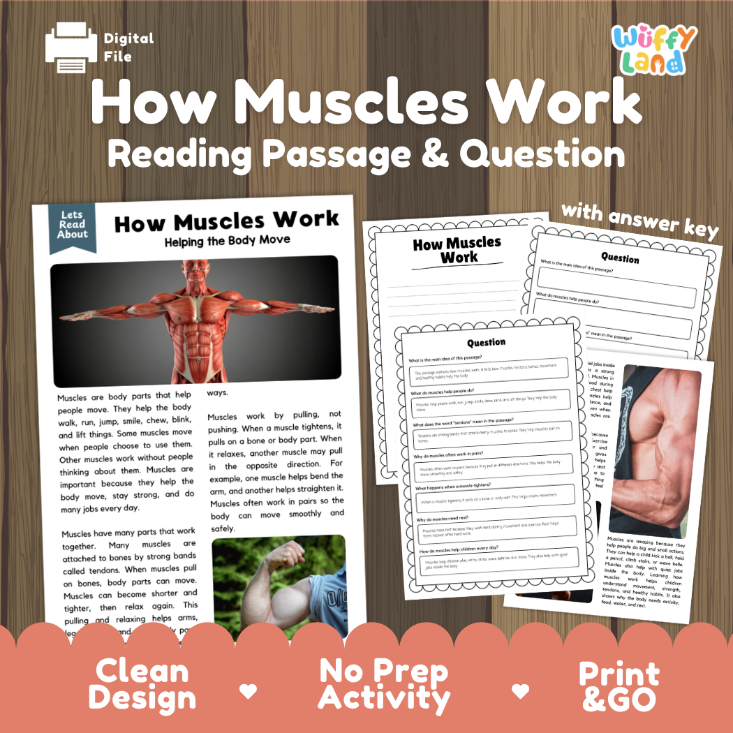 How muscles work reading comprehension passage and questions printable activity pack with answer key for elementary students