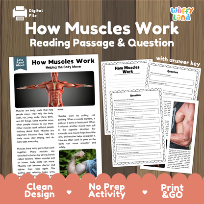 How muscles work reading comprehension passage and questions printable activity pack with answer key for elementary students