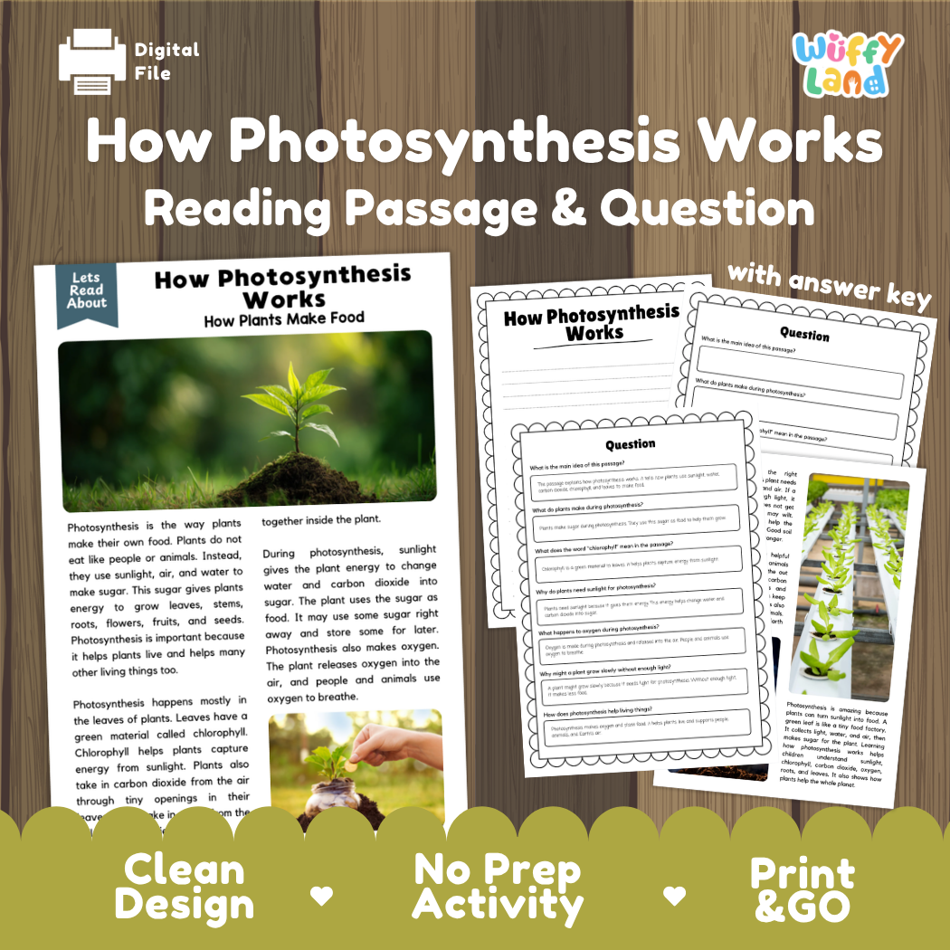 How photosynthesis works reading comprehension passage and questions printable activity pack with answer key for elementary students