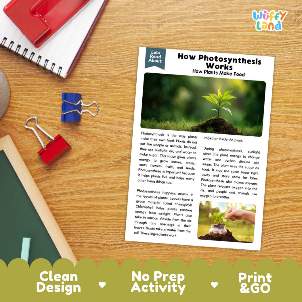 Student reading comprehension worksheet with short-answer questions and lined sections about how photosynthesis works