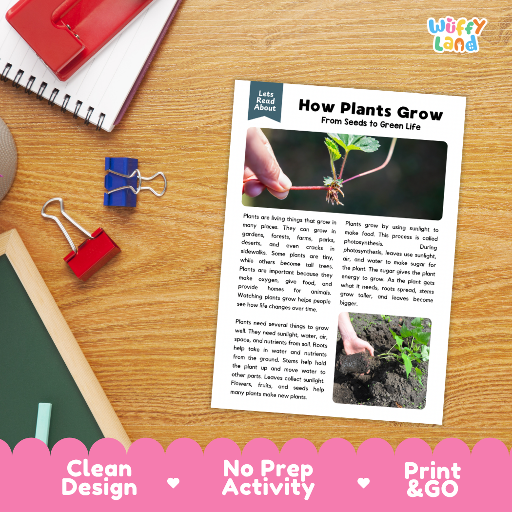 Student reading comprehension worksheet with short-answer questions and lined sections about how plants grow