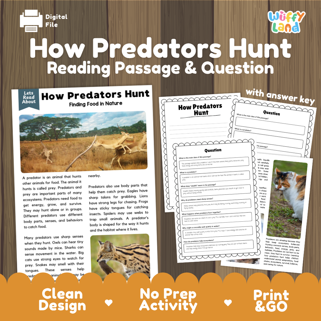 How Predators Hunt reading comprehension passage and questions activity pack with full answer key for students