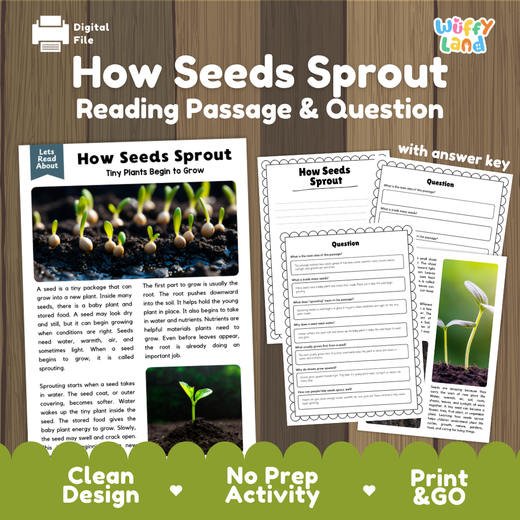 How Seeds Sprout reading comprehension passage and questions activity pack with full answer key for students