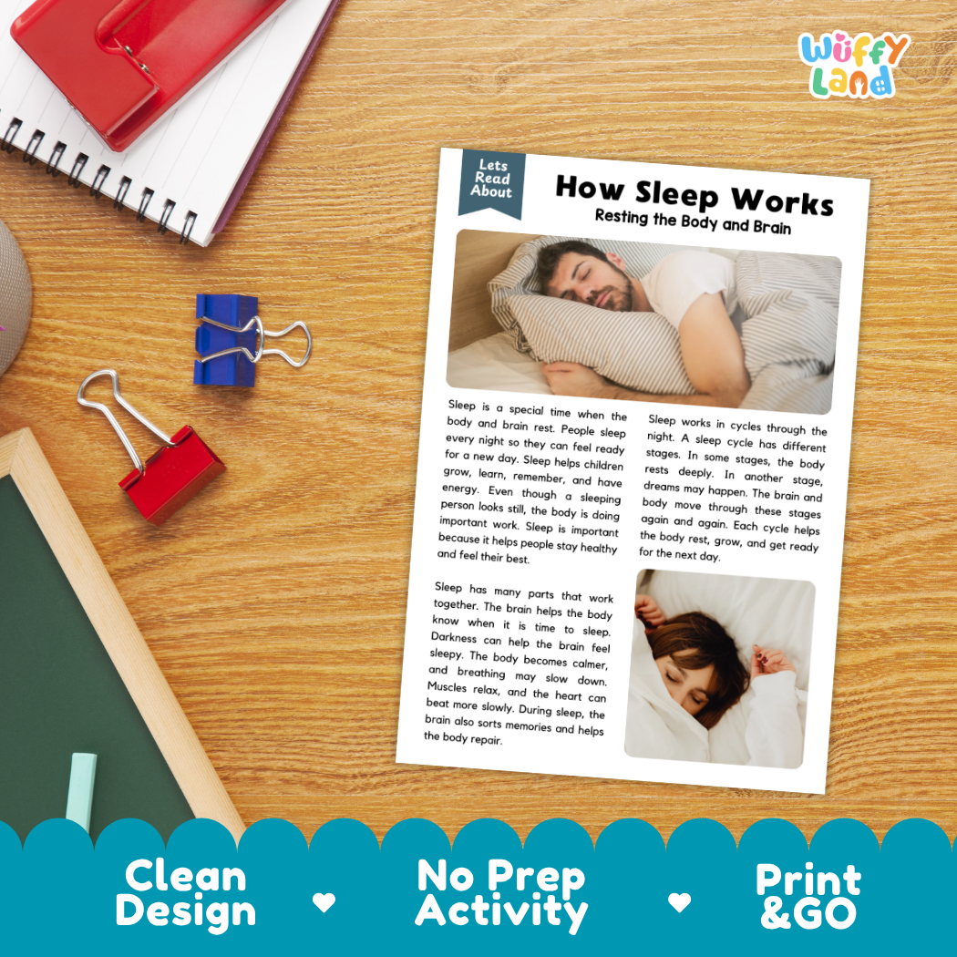 Student reading comprehension worksheet with short-answer questions and lined sections about how sleep works