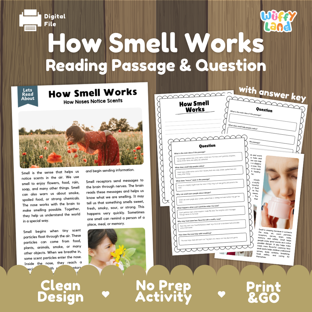 How Smell Works reading comprehension passage and questions activity pack with full answer key for students