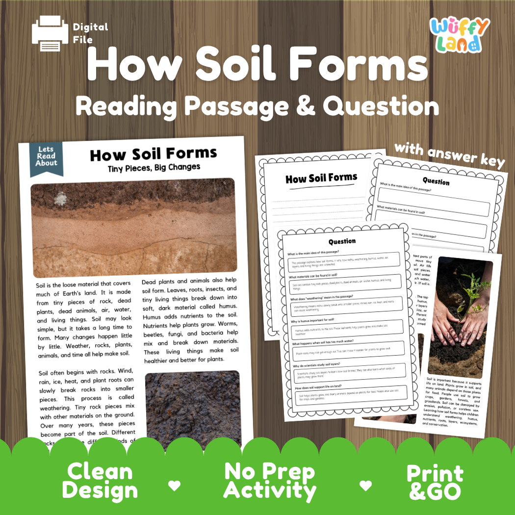 How Soil Forms reading comprehension passage and questions activity pack with full answer key for students