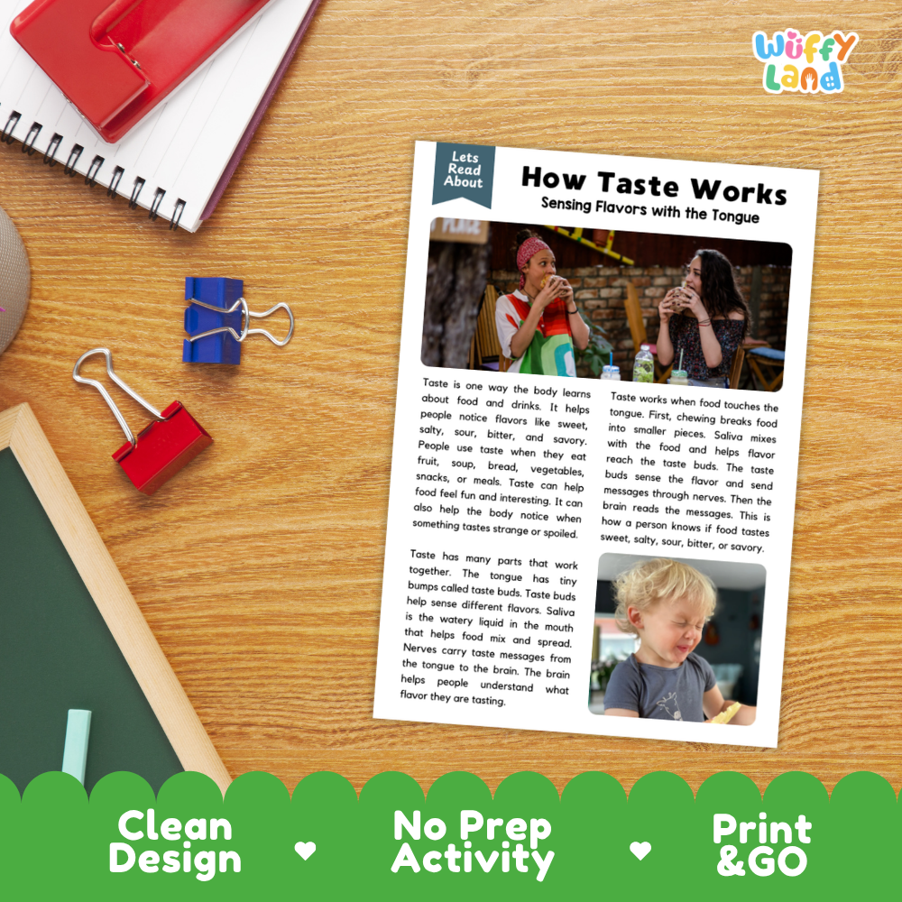 Student reading comprehension worksheet with short-answer questions and lined sections about how taste works