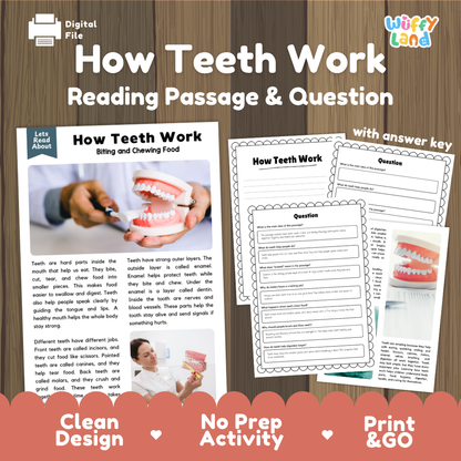 How Teeth Work reading comprehension passage and questions activity pack with full answer key for students