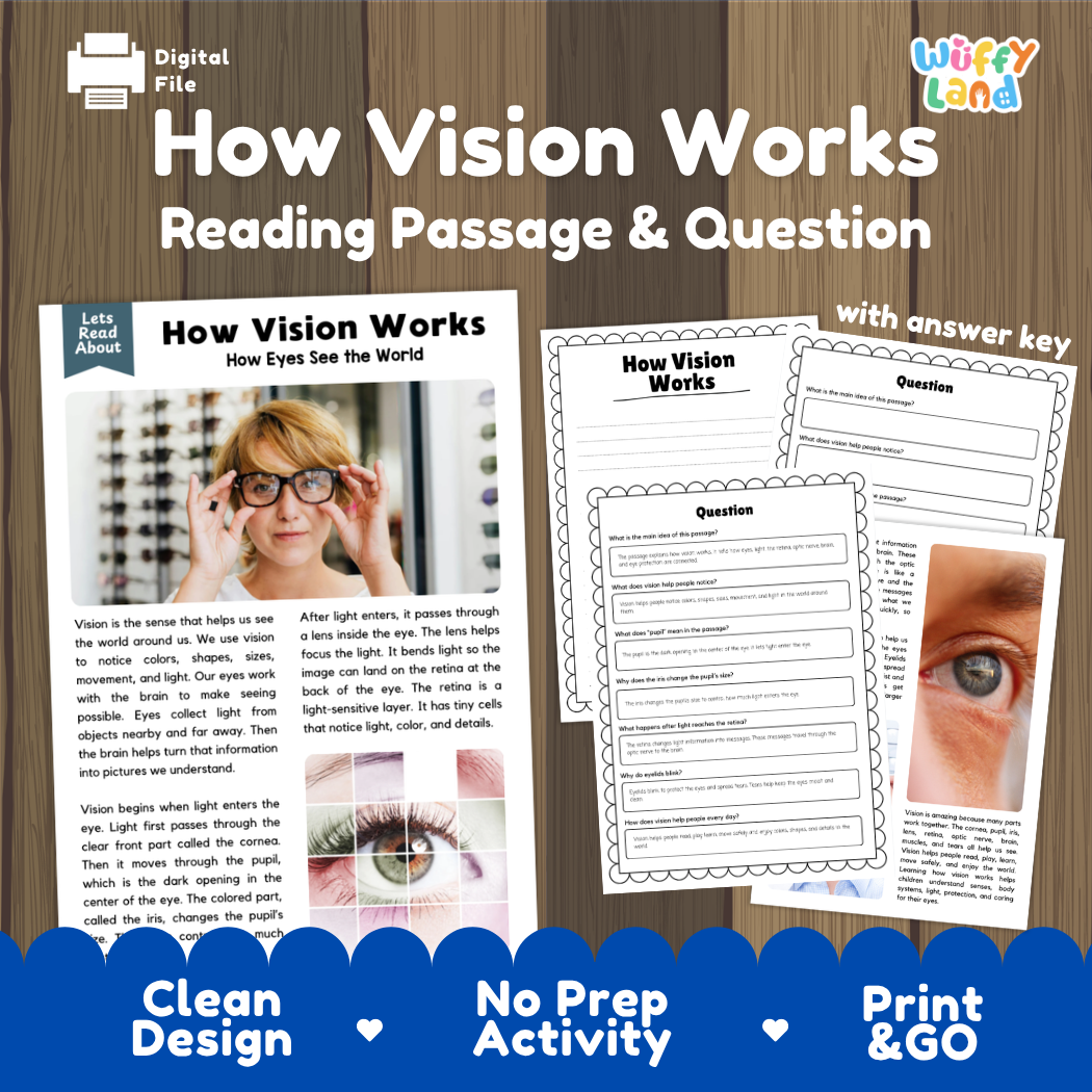 How Vision Works reading comprehension passage and questions activity pack with full answer key for students