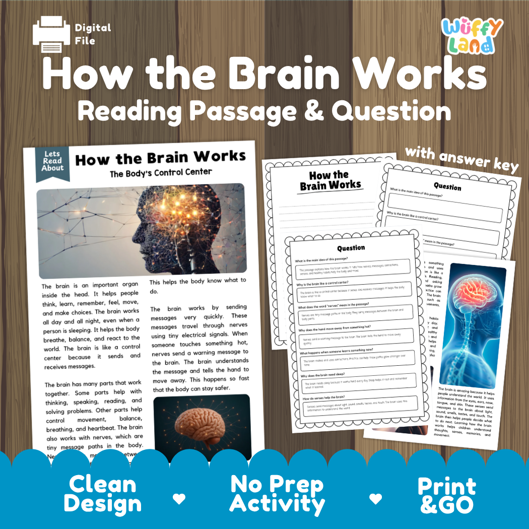 How the brain works reading comprehension passage and questions printable activity pack with answer key for elementary students