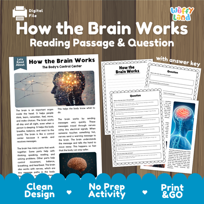 How the brain works reading comprehension passage and questions printable activity pack with answer key for elementary students