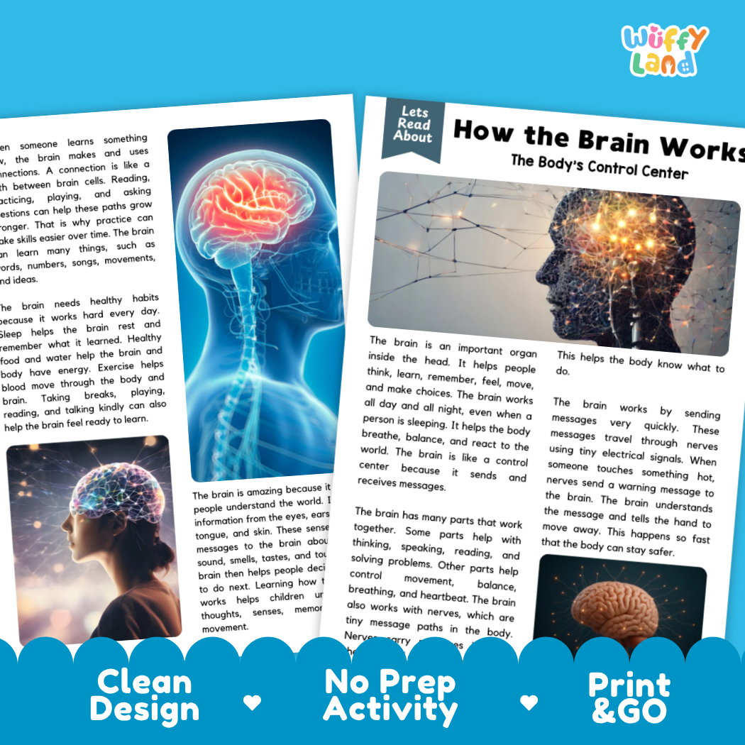 Teacher answer key page showing complete question solutions for how the brain works reading comprehension practice