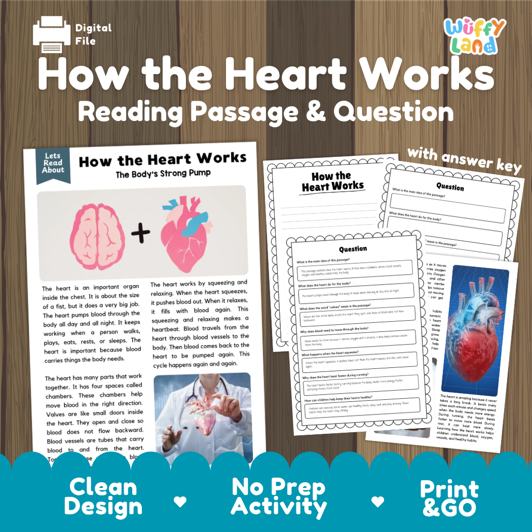 How the heart works reading comprehension passage and questions printable activity pack with answer key for elementary students
