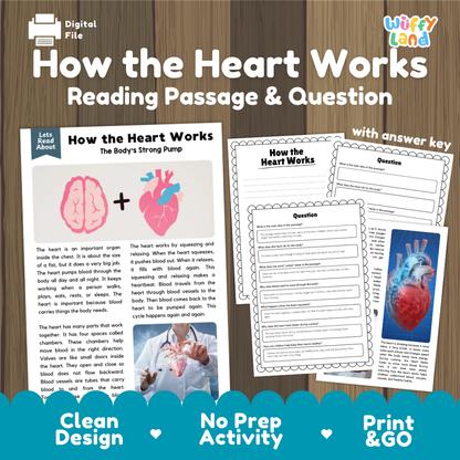 How the heart works reading comprehension passage and questions printable activity pack with answer key for elementary students
