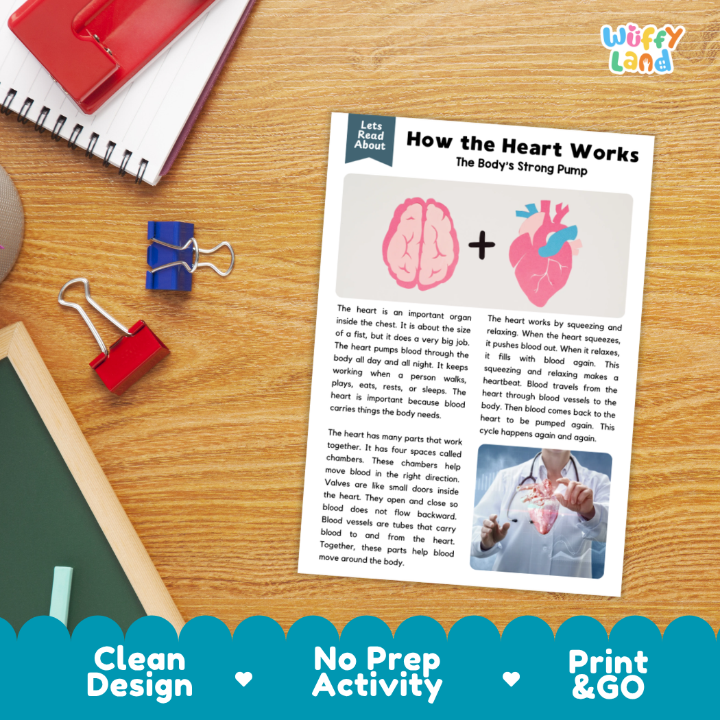 Student reading comprehension worksheet with short-answer questions and lined sections about the heart and circulatory system