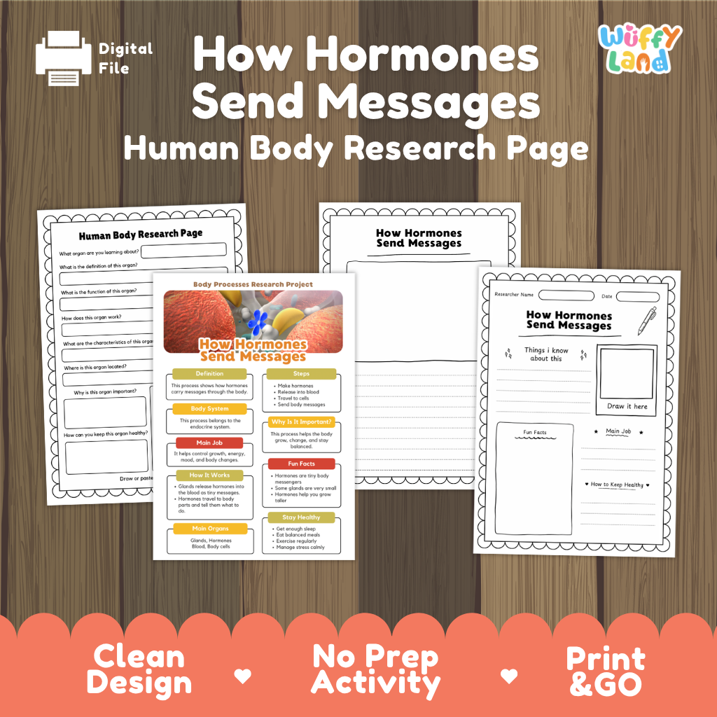 How Hormones Send Messages Human Body Research Page | Endocrine System