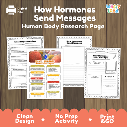 How Hormones Send Messages Human Body Research Page | Endocrine System