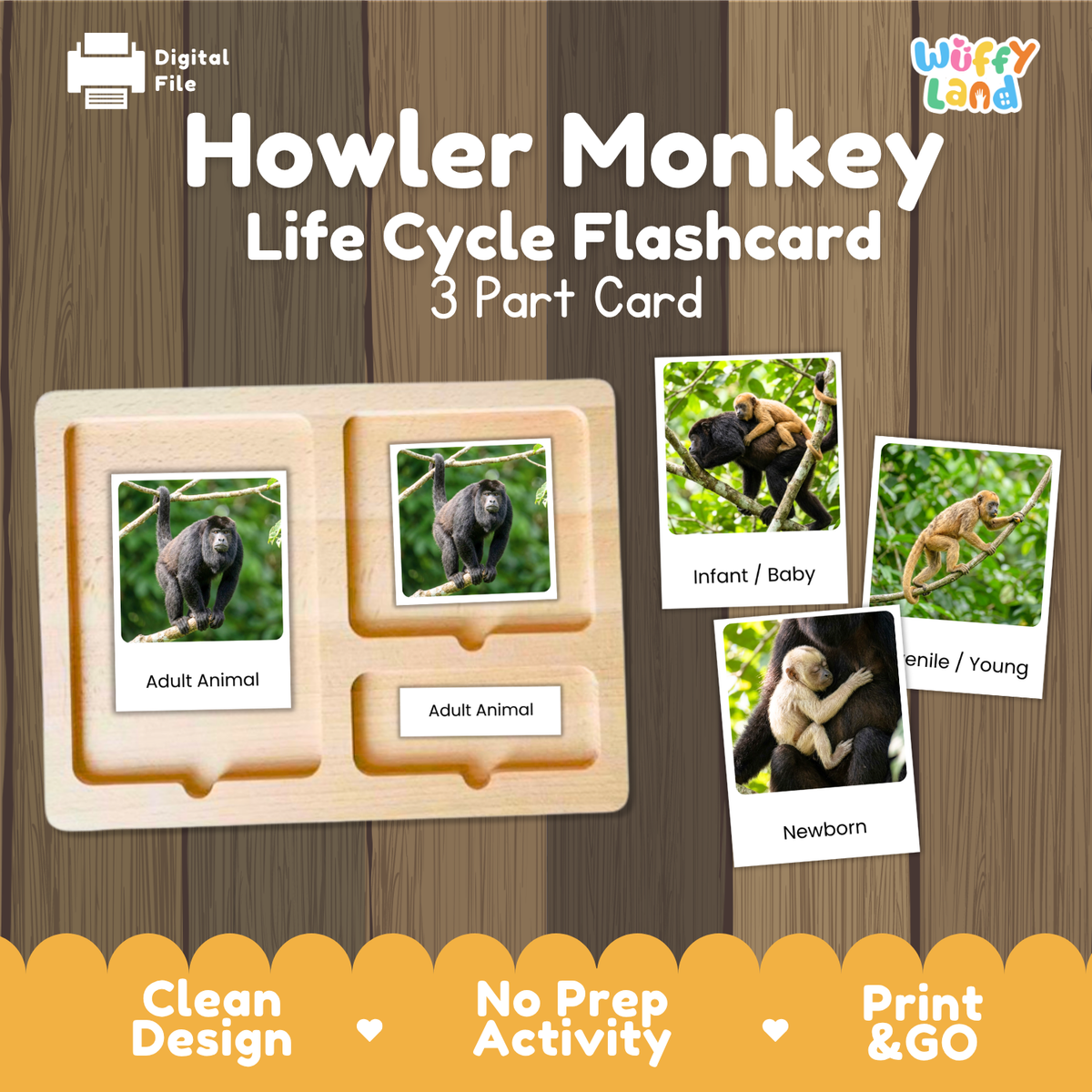 Howler Monkey Life Cycle Flashcard set by Wiffy Land, featuring a 3-part wooden card tray with labeled sections for adult animal and newborn/infant/young stages, shown on a wood-textured background with sample animal photos and promotional text.
