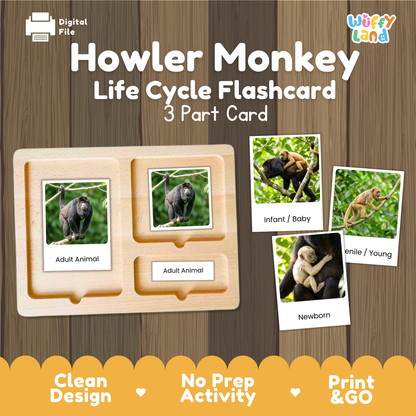 Howler Monkey Life Cycle Flashcard set by Wiffy Land, featuring a 3-part wooden card tray with labeled sections for adult animal and newborn/infant/young stages, shown on a wood-textured background with sample animal photos and promotional text.