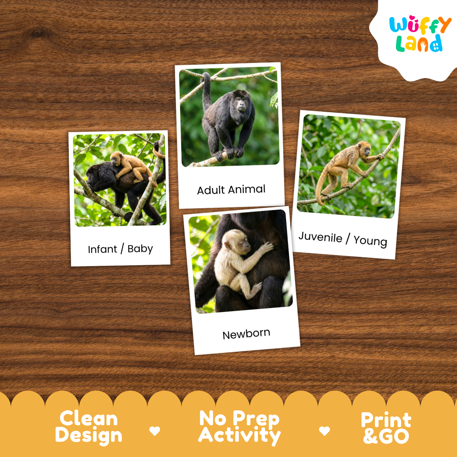 Four educational animal identification cards featuring baby and adult primates on a wooden background, with the 'Wuffy Land' logo in the top right and a promotional banner at the bottom.