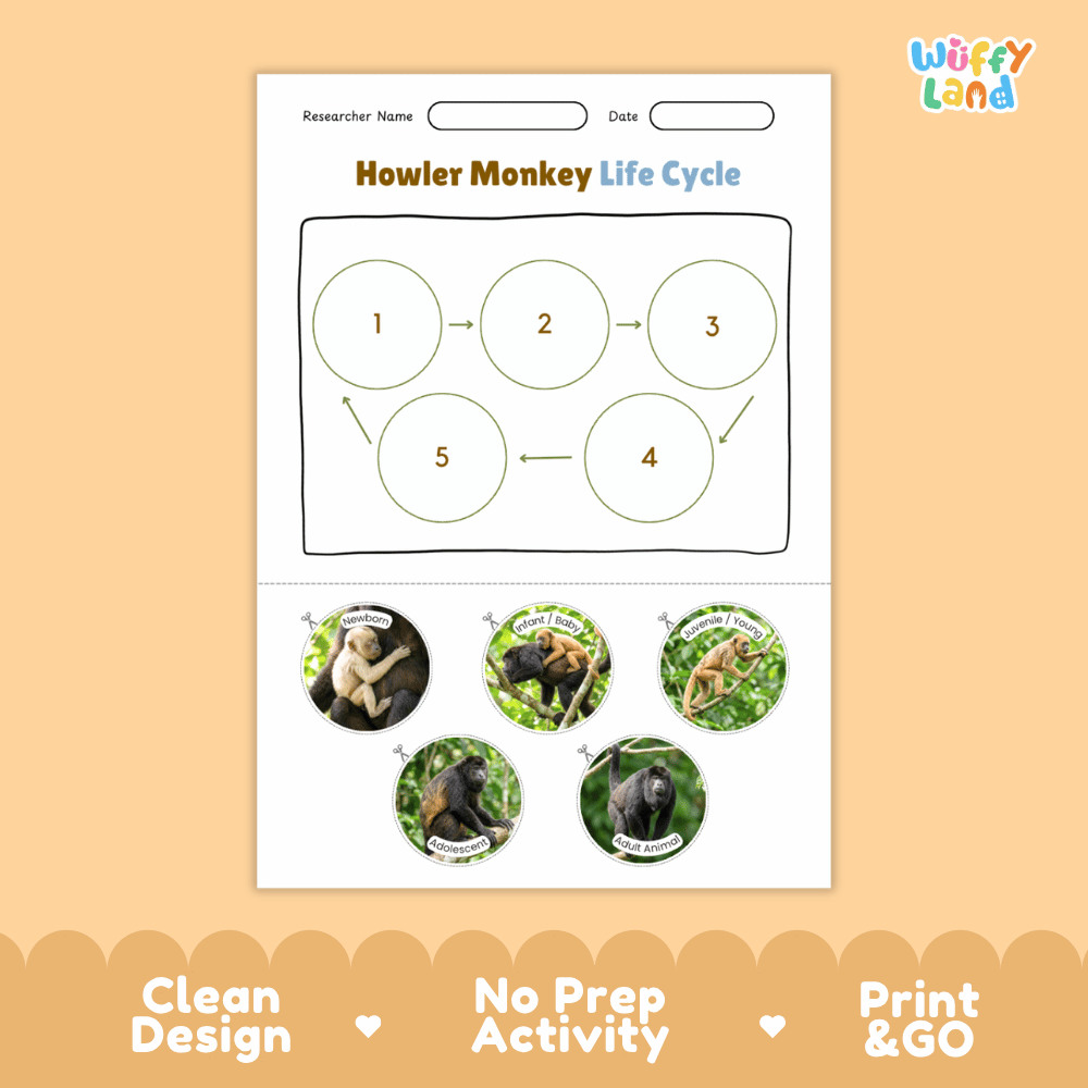 Howler Monkey Life Cycle Poster and Cut and Paste Activity Worksheets