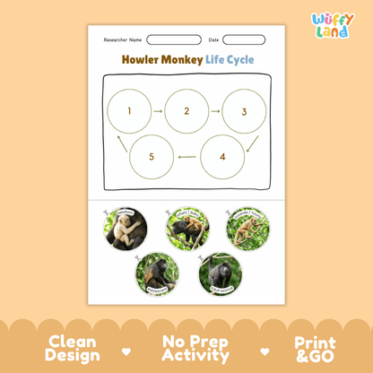 Howler Monkey Life Cycle Poster and Cut and Paste Activity Worksheets
