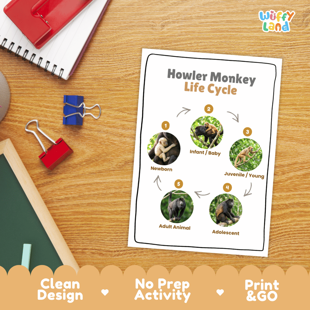 Howler Monkey Life Cycle Poster and Cut and Paste Activity Worksheets