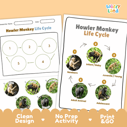 Howler Monkey Life Cycle Poster and Cut and Paste Activity Worksheets