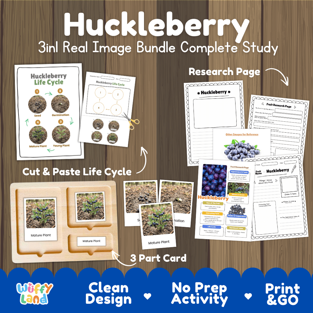 Complete Huckleberry 3-in-1 real image study bundle featuring cut and paste worksheets, Montessori 3-part cards, and research pages 🫐🌱