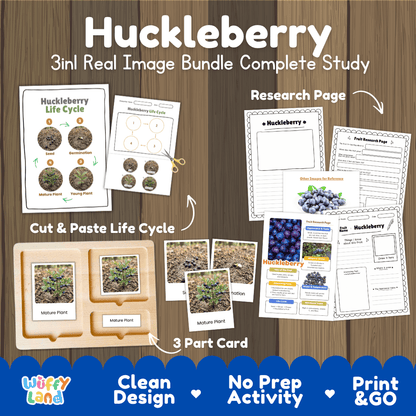 Complete Huckleberry 3-in-1 real image study bundle featuring cut and paste worksheets, Montessori 3-part cards, and research pages 🫐🌱