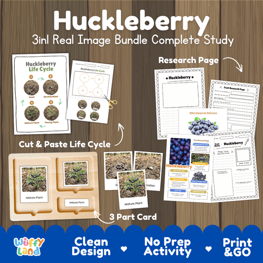 Complete Huckleberry 3-in-1 real image study bundle featuring cut and paste worksheets, Montessori 3-part cards, and research pages 🫐🌱