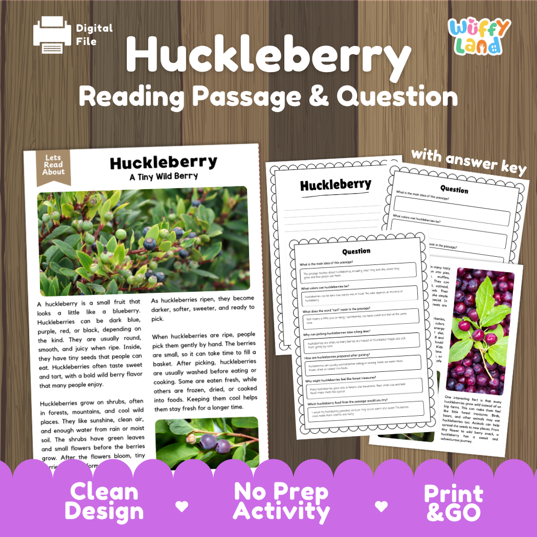 Huckleberry reading comprehension passage and questions printable activity pack with answer key for elementary students