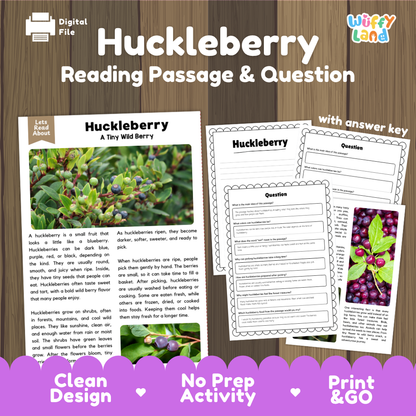Huckleberry reading comprehension passage and questions printable activity pack with answer key for elementary students