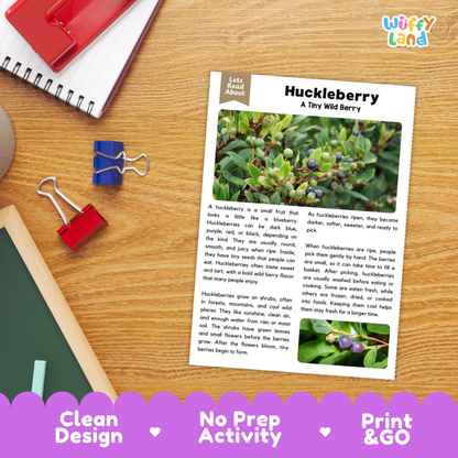 Student reading comprehension worksheet with short-answer questions and lined sections about huckleberries