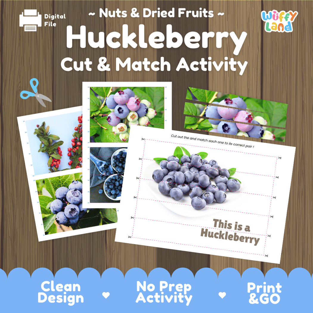 Huckleberry Cut and Match Activity Worksheets | Nuts and Dried Fruits Puzzle Printables