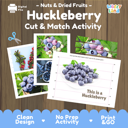 Huckleberry Cut and Match Activity Worksheets | Nuts and Dried Fruits Puzzle Printables