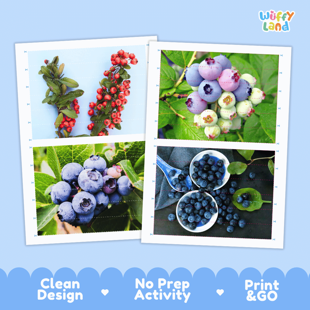 Huckleberry Cut and Match Activity Worksheets | Nuts and Dried Fruits Puzzle Printables