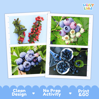 Huckleberry Cut and Match Activity Worksheets | Nuts and Dried Fruits Puzzle Printables