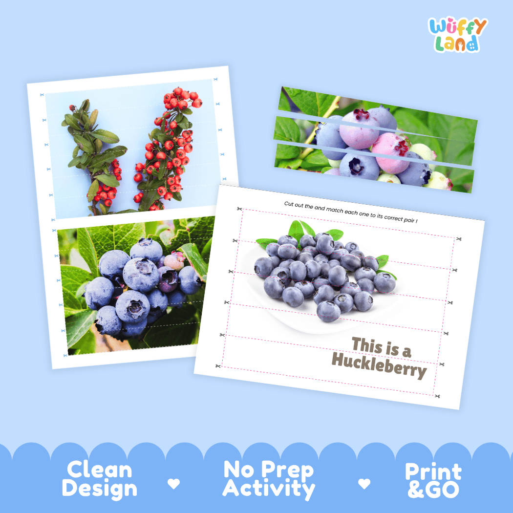 Huckleberry Cut and Match Activity Worksheets | Nuts and Dried Fruits Puzzle Printables