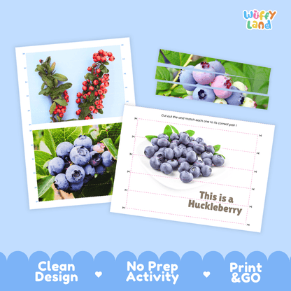 Huckleberry Cut and Match Activity Worksheets | Nuts and Dried Fruits Puzzle Printables
