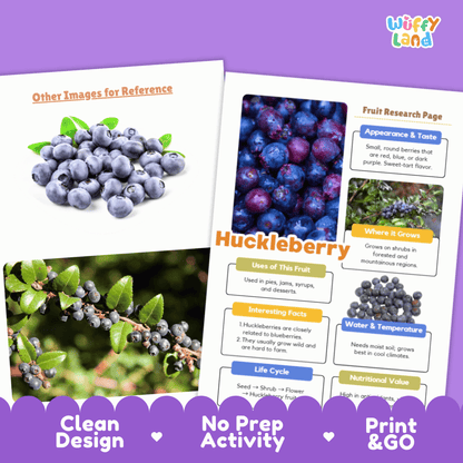 Huckleberry Fruit Research Activity Worksheet Science Wild Berries Nature Study