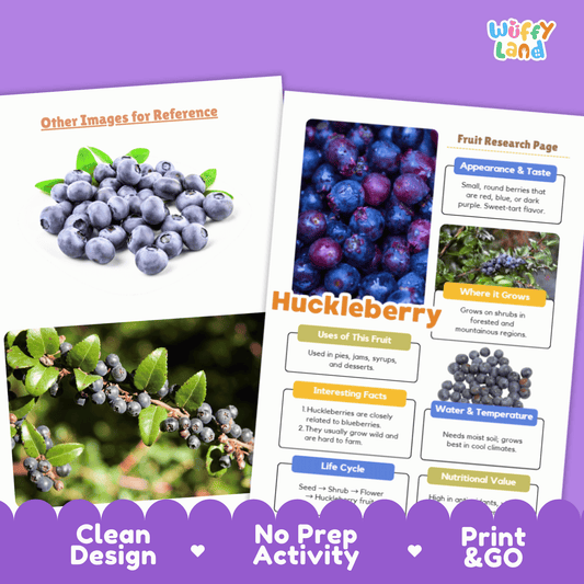 Huckleberry Fruit Research Activity Worksheet Science Wild Berries Nature Study